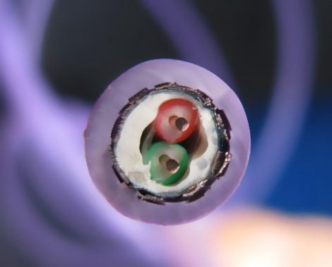 YCWP�������������zܛ��|