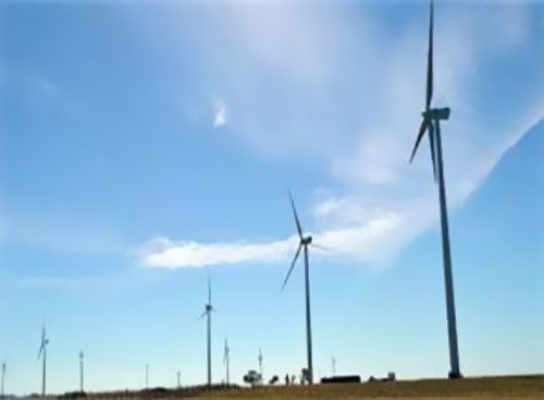 Genneia������͢�L(f��ng)늈�(ch��ng)�@2600�f��Ԫ�J��