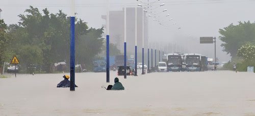 �꼾�����|�