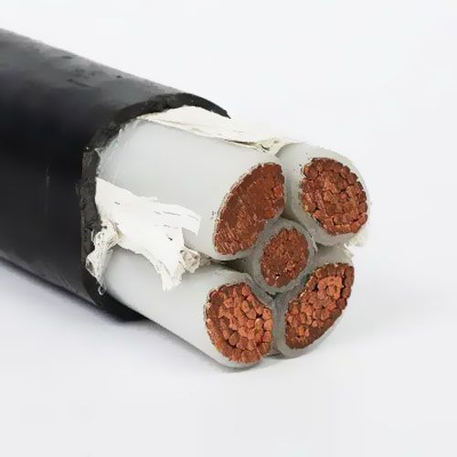 �P����|���O����Щ��ʽ��