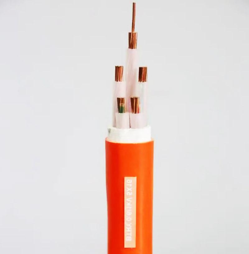 �c�S�X�Ͻ���|